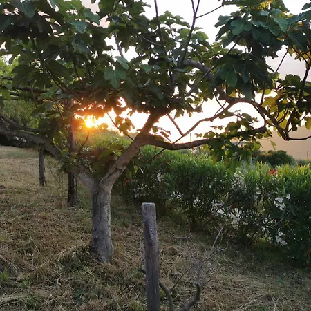 Casalesanpietro